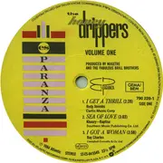 12inch Vinyl Single - The Honeydrippers - Volume One