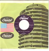 The Honeys - Surfin' Down The Swanee River