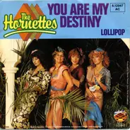 The Hornettes - You Are My Destiny