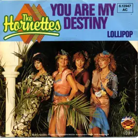 The Hornettes - You Are My Destiny