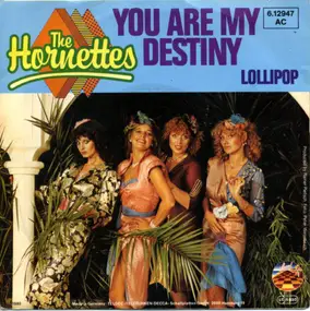 The Hornettes - You Are My Destiny