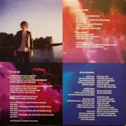 Double LP - The Horrors - Primary Colours - + Poster