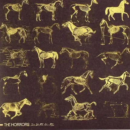 The Horrors - She Is The New Thing