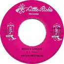 7inch Vinyl Single - The Hatch Brothers - Shady Grove
