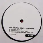 The Havana Boys - So Horny
