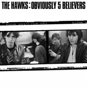 The Hawks - Obviously 5 Believers