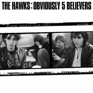The Hawks - Obviously 5 Believers