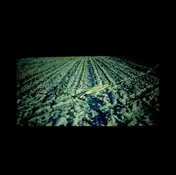 HAXAN CLOAK - THE HAXAN CLOAK