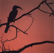 CD - The Handsome Family - In The Air