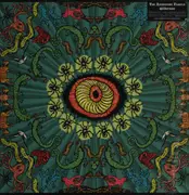 LP - The Handsome Family - Wilderness - Insert