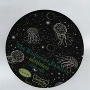 LP - The Handsome Family - Wilderness - Insert