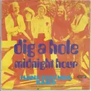 7inch Vinyl Single - The Hans Staymer Band - Dig A Hole