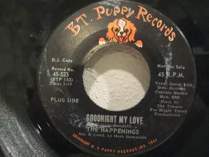 The Happenings - Goodnight My Love