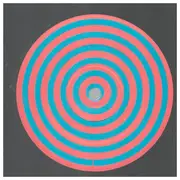 Double LP - The Heads - Everybody Knows We Got Nowhere