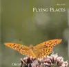 CD - The Heinz Kiessling Orchestra - Flying Places