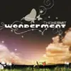 CD - The Hermit - Wonderment
