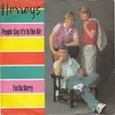 7inch Vinyl Single - The Herrey's - People Say It's In The Air