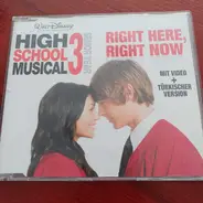 The High School Musical Cast - Right Here, Right Now