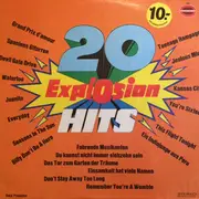 LP - The Hiltonaires , Orchester Udo Reichel - 20 Explosion Hits