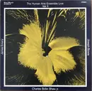 LP - The Human Arts Ensemble - The Human Arts Ensemble Live Vol. II