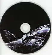 CD - The Hunters - Dissent Lasts...