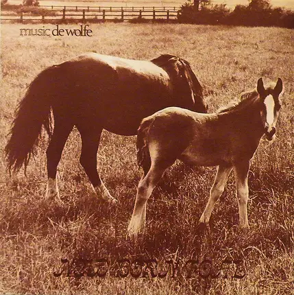 The International Studio Orchestra - New Born Foal