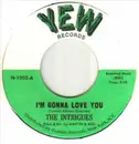 7inch Vinyl Single - The Intrigues - I'm Gonna Love You