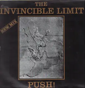 The Invincible Limit - Push! (New Mix)