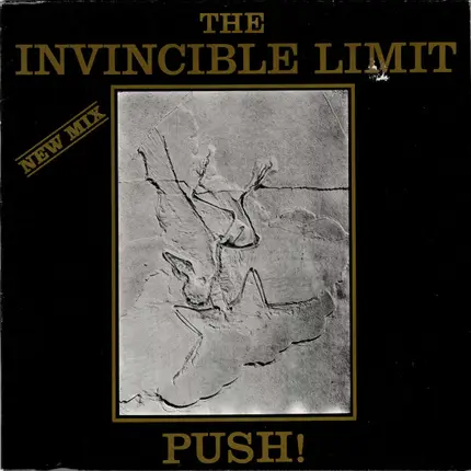 The Invincible Limit - Push! (New Mix)