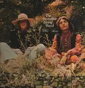 Double LP - The Incredible String Band - Wee Tam & The Big Huge