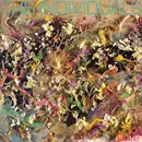 LP - The Individuals - Fields