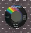 7inch Vinyl Single - The Ink Spots - Whispering Grass / If I Didn't Care - Black Labels