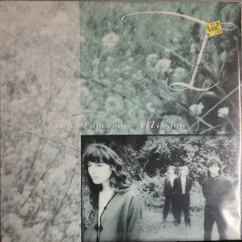 The Innocence Mission - Black Sheep Wall
