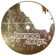 The Insiders - Burning Deep / Changes