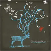 The Icy Shores - What You Get And How You Get It