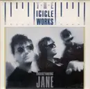 7inch Vinyl Single - The Icicle Works - Unders?anding Jane