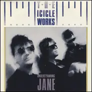 The Icicle Works - Understanding Jane