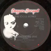 7inch Vinyl Single - The Icicle Works - Unders?anding Jane