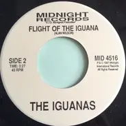 The Iguanas - Living In A Vacuum