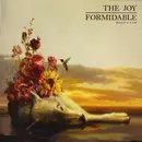 CD - The Joy Formidable - Wolf's Law