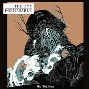CD - The Joy Formidable - The Big Roar