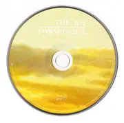 CD - The Joy Formidable - Wolf's Law
