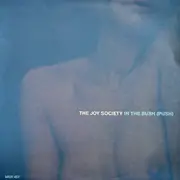 12inch Vinyl Single - The Joy Society - In The Bush (Push)
