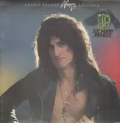 Joe Perry Project