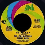 The Johannesburg Street Band - Thimela