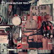 CD - The John Butler Trio - Flesh & Blood