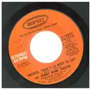 7inch Vinyl Single - The Johnny Mann Singers - America, There's So Much To Say