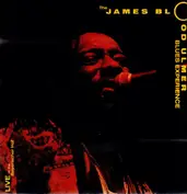 The James Blood Ulmer Blues Experience