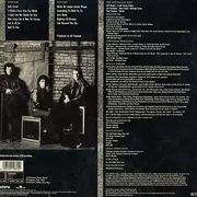 LP - The Jeff Healey Band - Hell To Pay
