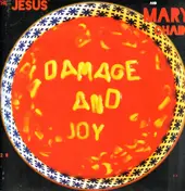 Jesus & Mary Chain - Damage And Joy